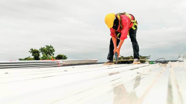 Best Storm Damage Roof Repair  in Fairview Ferndale, PA